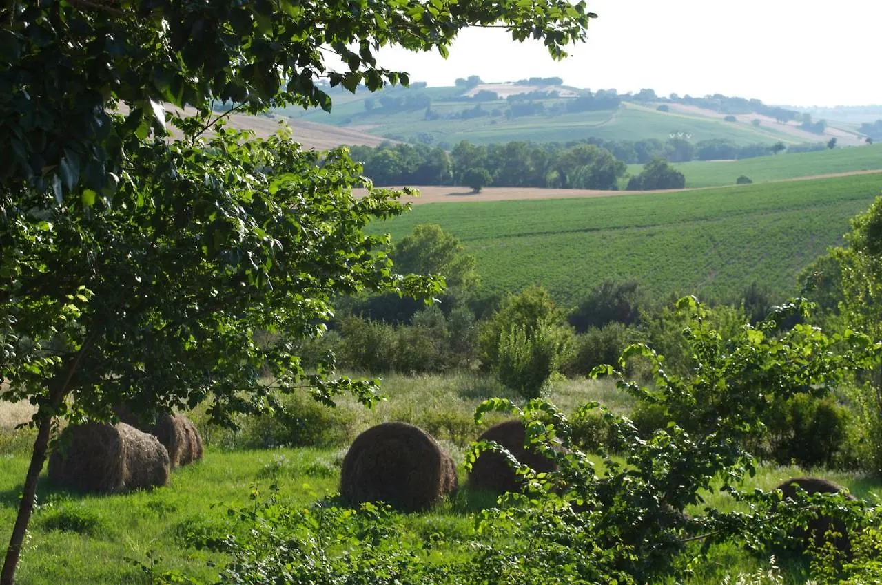 Farm stay Agriturismo La Nocicchia Villa Montemarciano Italy